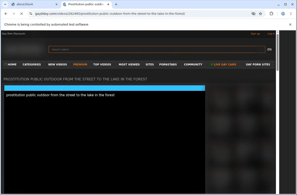 Gay 0 Day Downloader page open in the browser