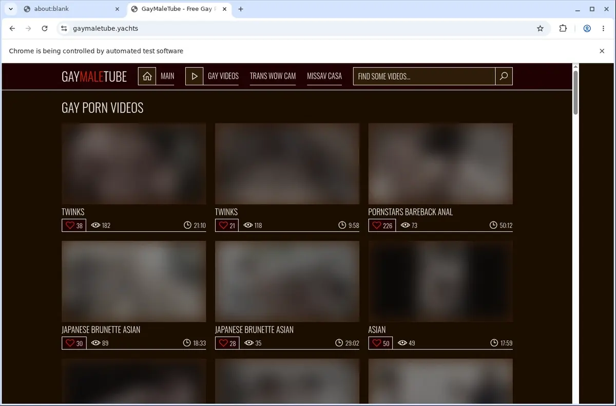 Gaymaletube Video Downloader page open in the browser