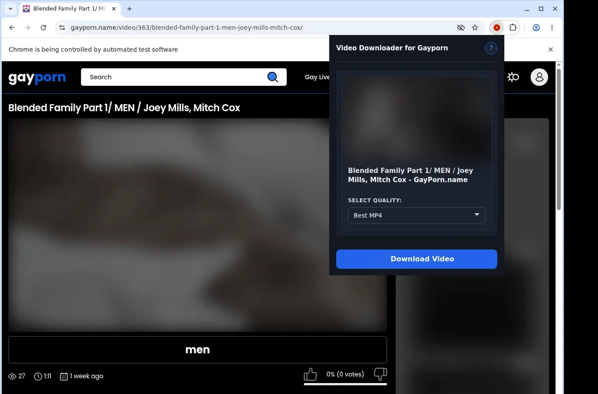 Gayporn Downloader showing detected media ready to download
