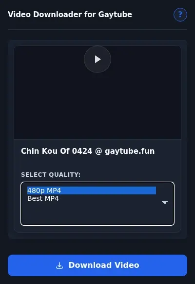 Gaytube Video Downloader format dropdown options