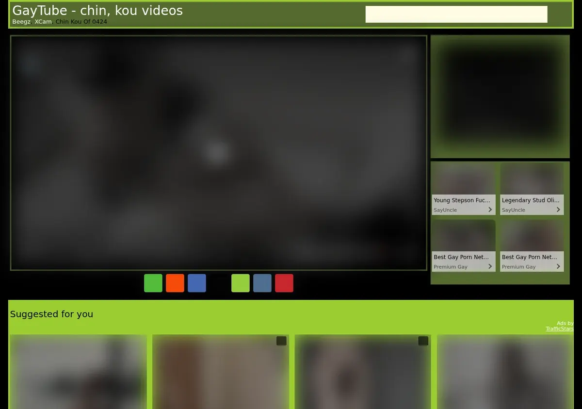 Gaytube Video Downloader page open in the browser