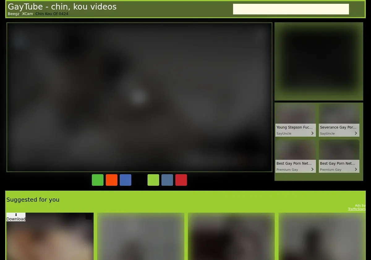 Gaytube Video Downloader showing detected media ready to download