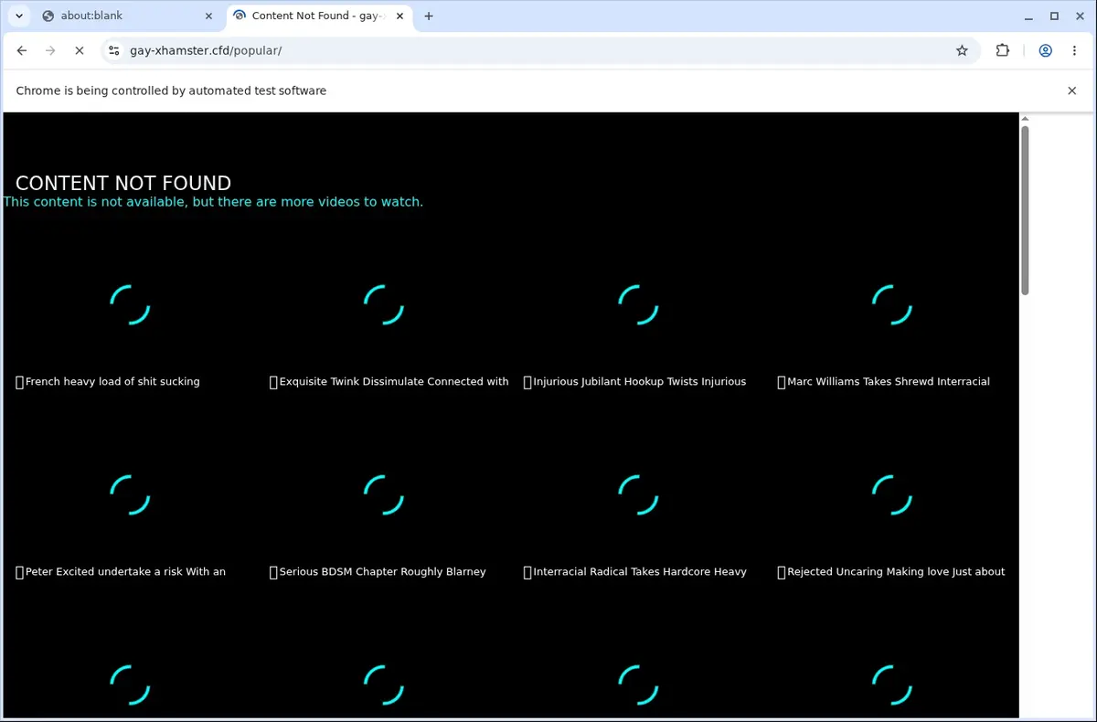 Gayxhamster Downloader page open in the browser
