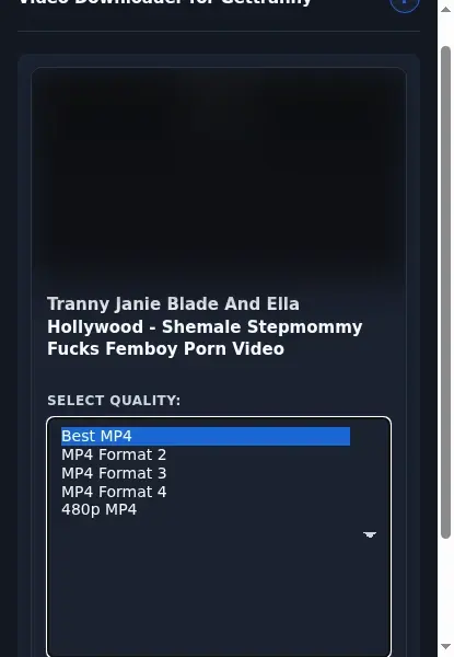 GetTranny Video Downloader format dropdown options