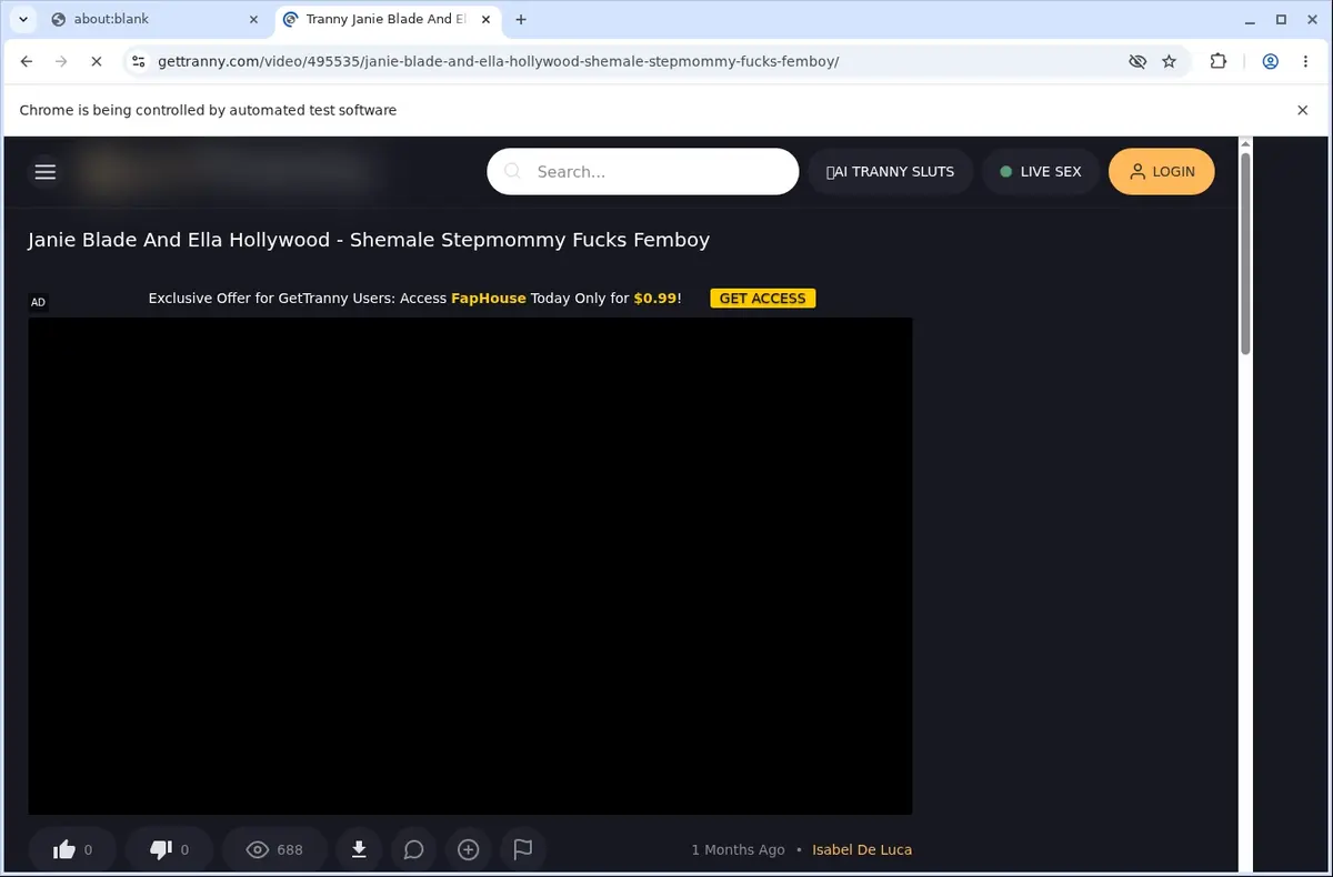 GetTranny Video Downloader page open in the browser