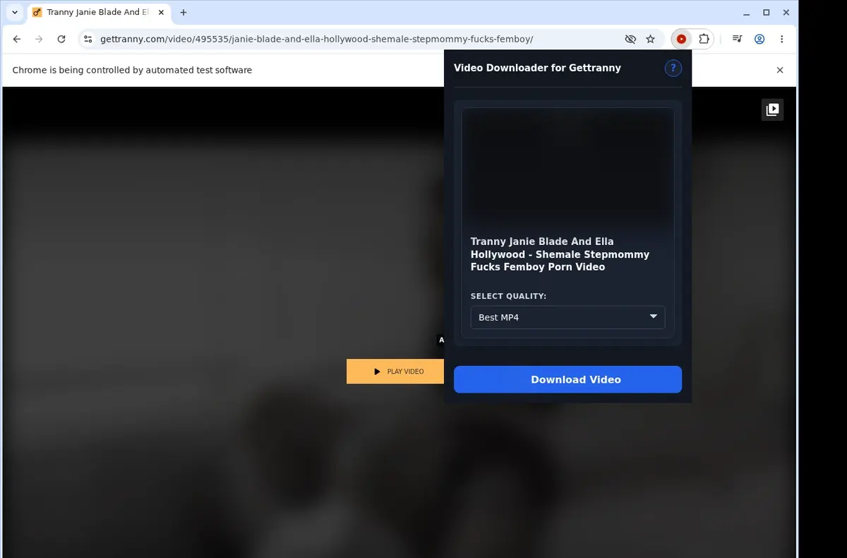 GetTranny Video Downloader showing detected media ready to download