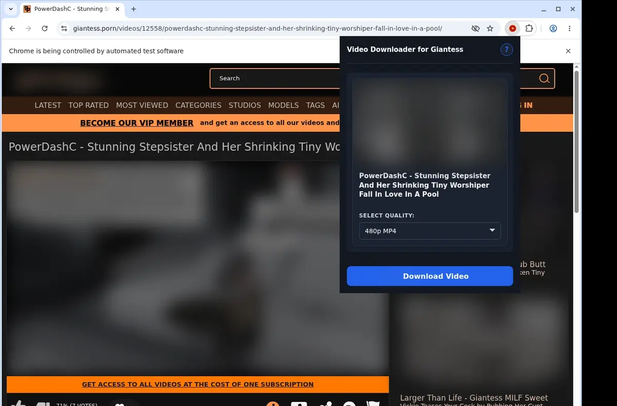 Giantess.porn Video Downloader showing detected media ready to download