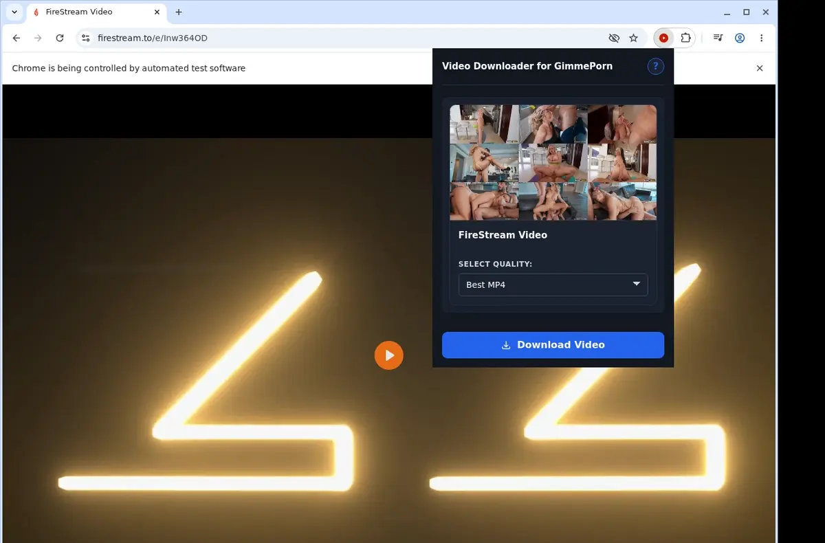 GimmePorn Downloader showing detected media ready to download