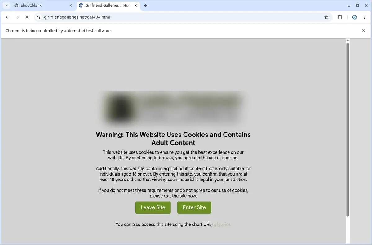 GirlfriendGalleries Downloader page open in the browser