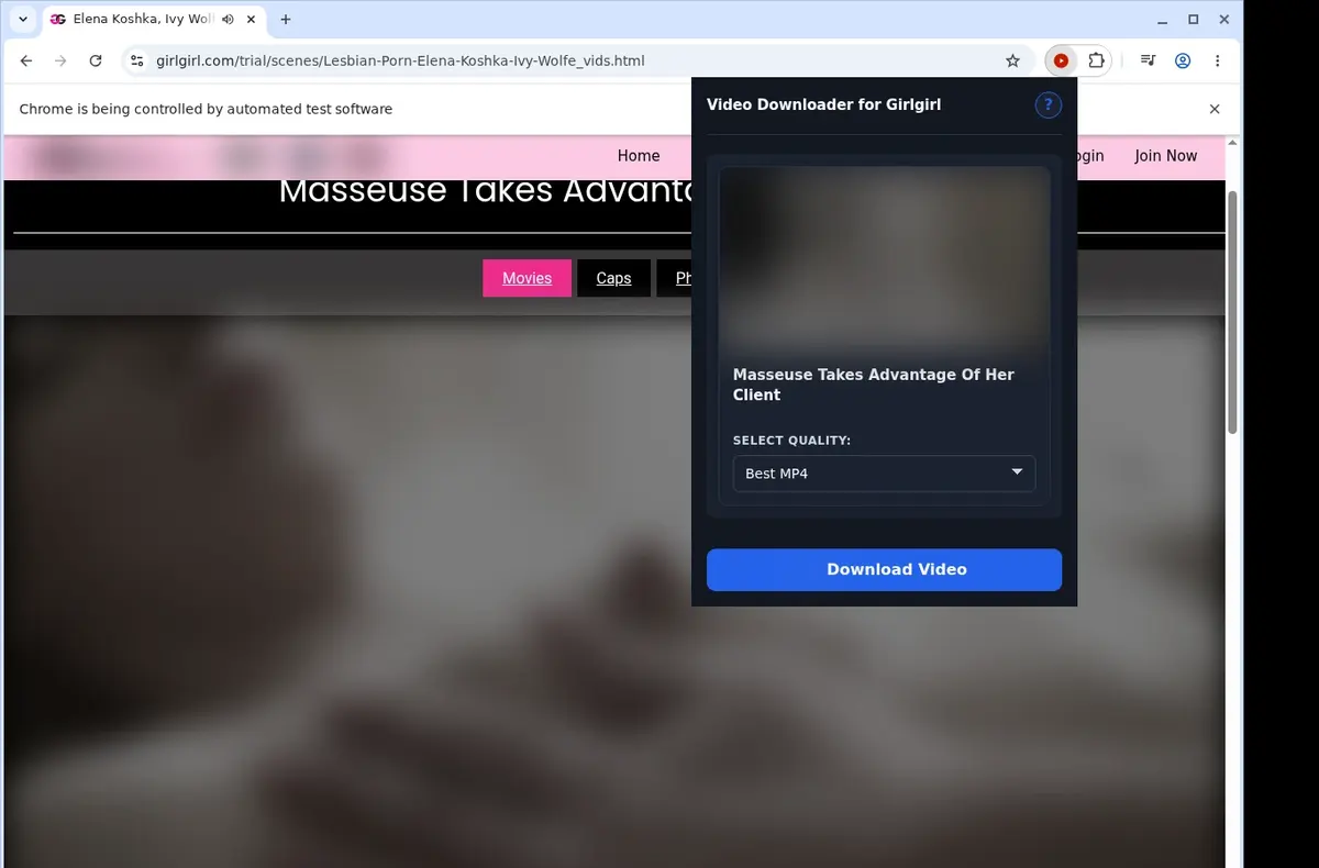 GirlGirl Video Downloader showing detected media ready to download