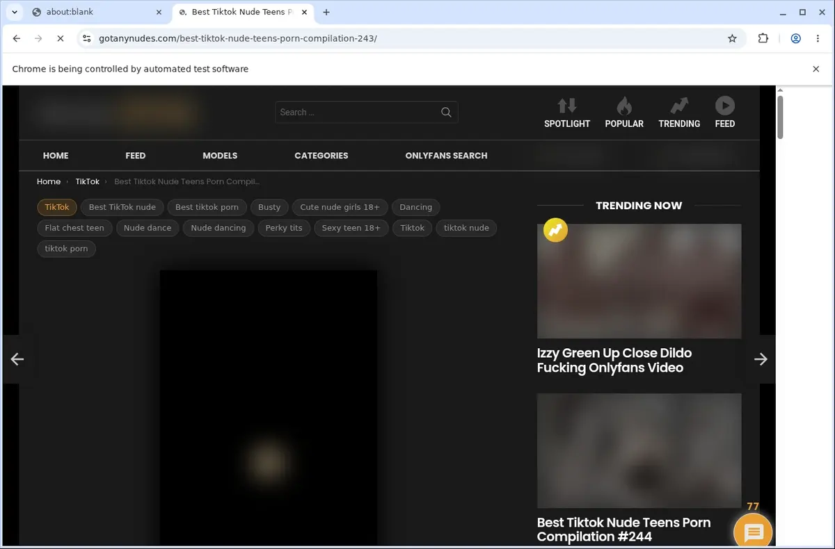 GotAnyNudes Video Downloader page open in the browser