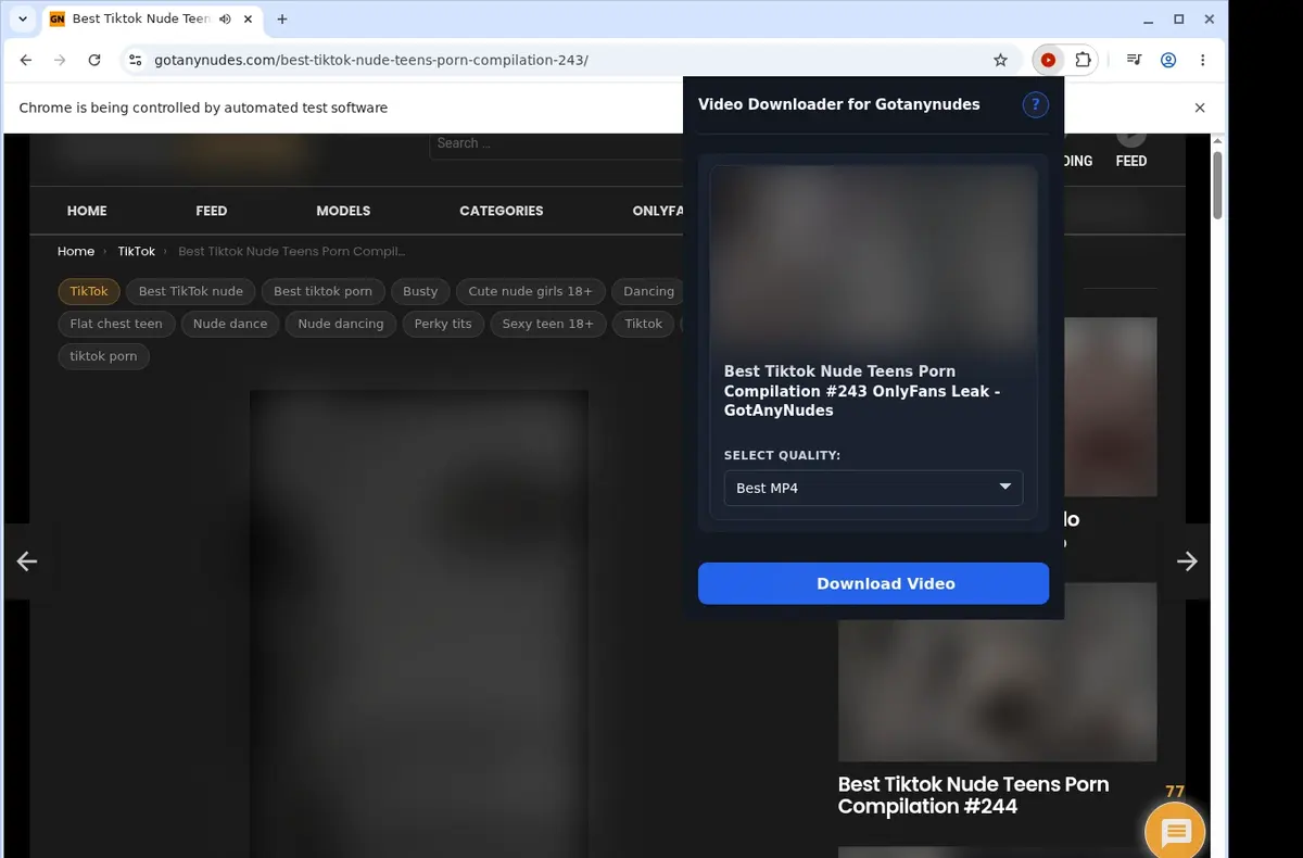 GotAnyNudes Video Downloader showing detected media ready to download