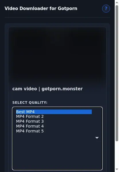 Gotporn Video Downloader format dropdown options