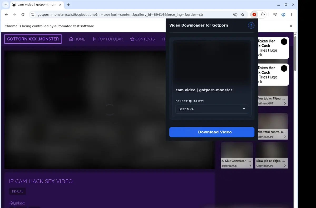 Gotporn Video Downloader showing detected media ready to download