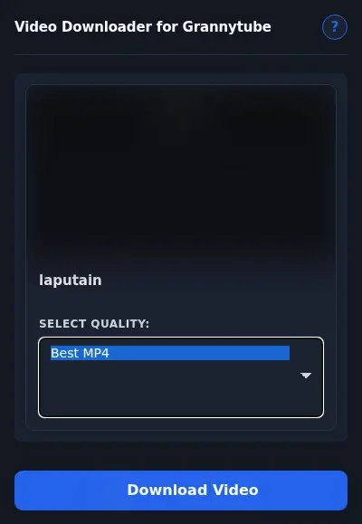 GrannyTube Video Downloader format dropdown options