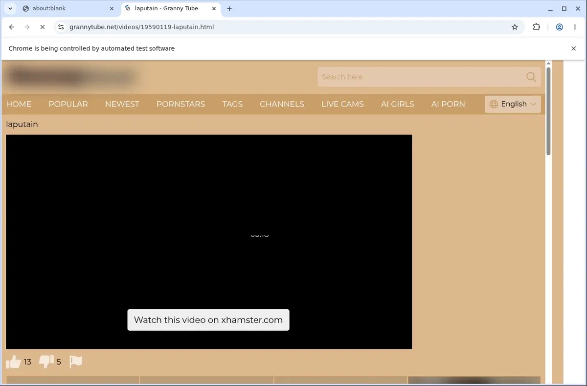 GrannyTube Video Downloader page open in the browser