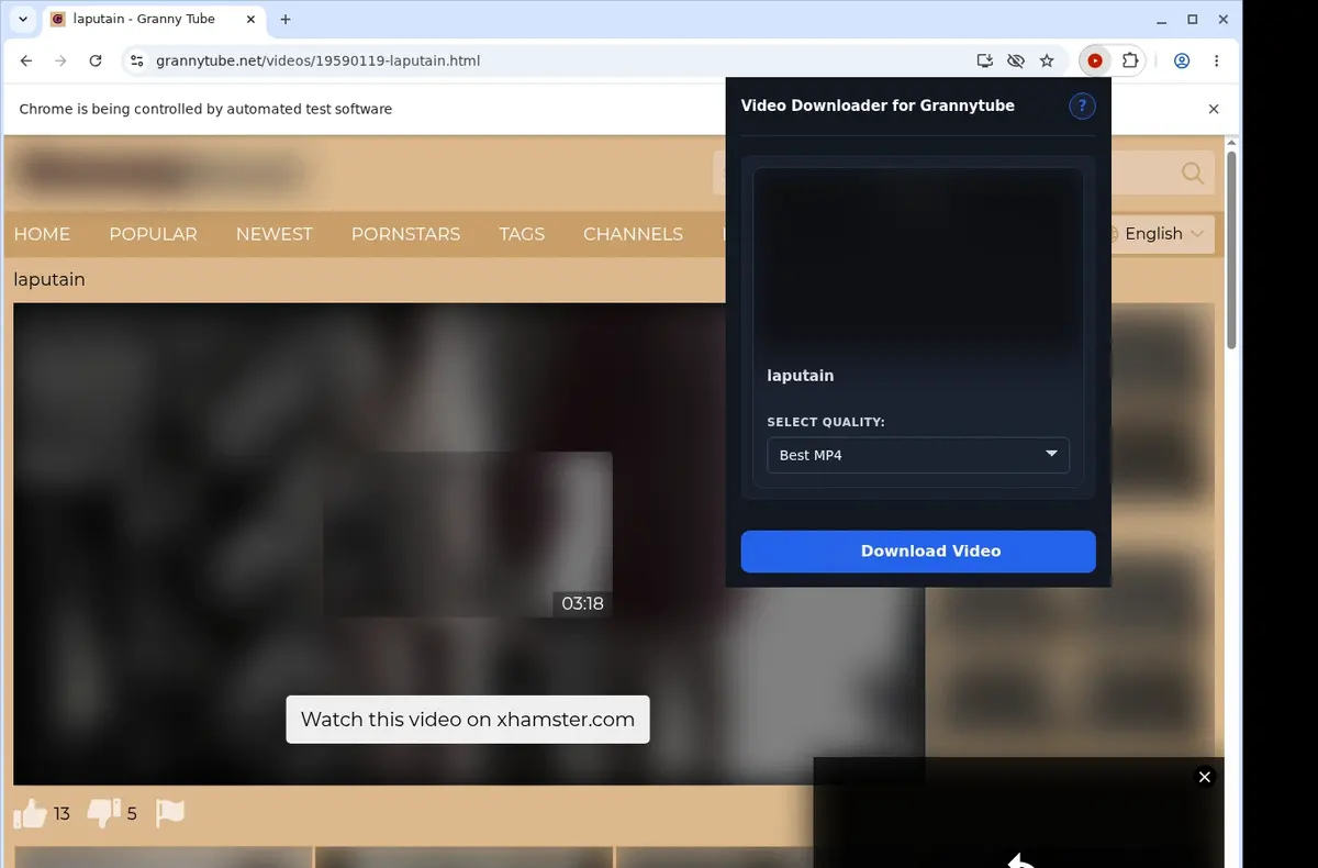GrannyTube Video Downloader showing detected media ready to download