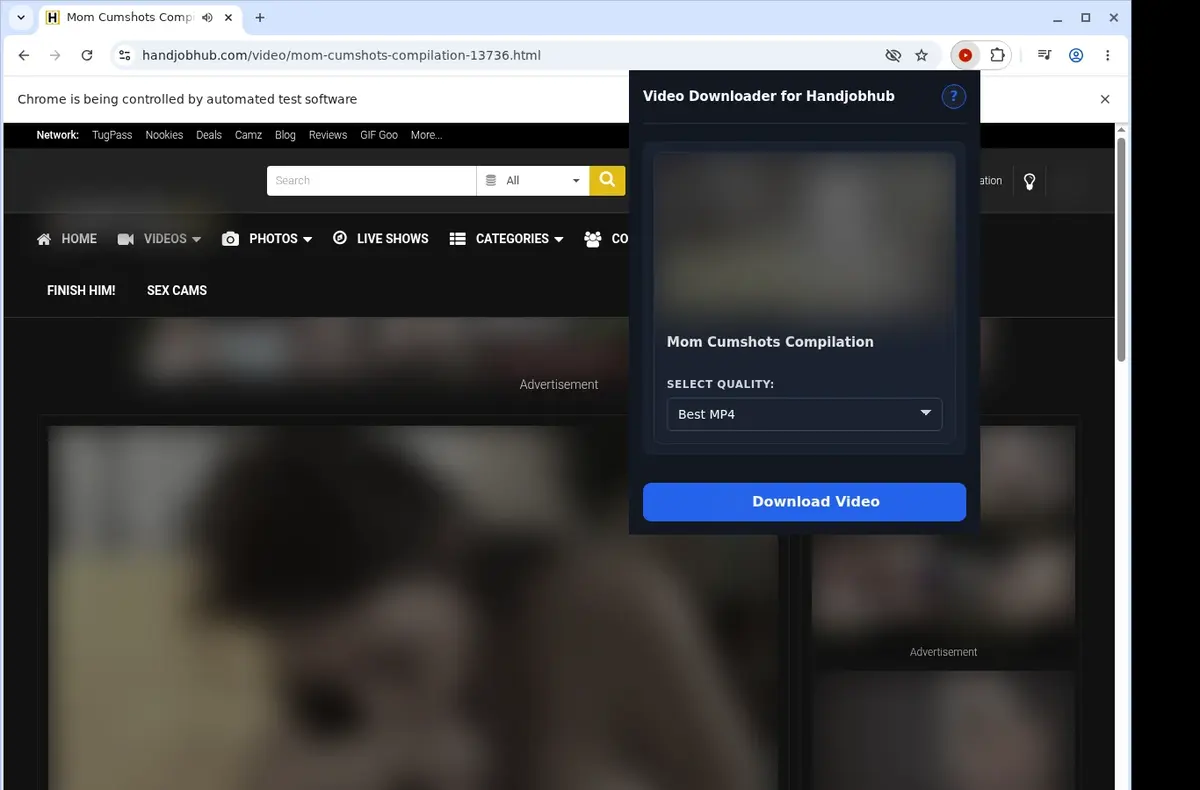 HandjobHub Video Downloader showing detected media ready to download