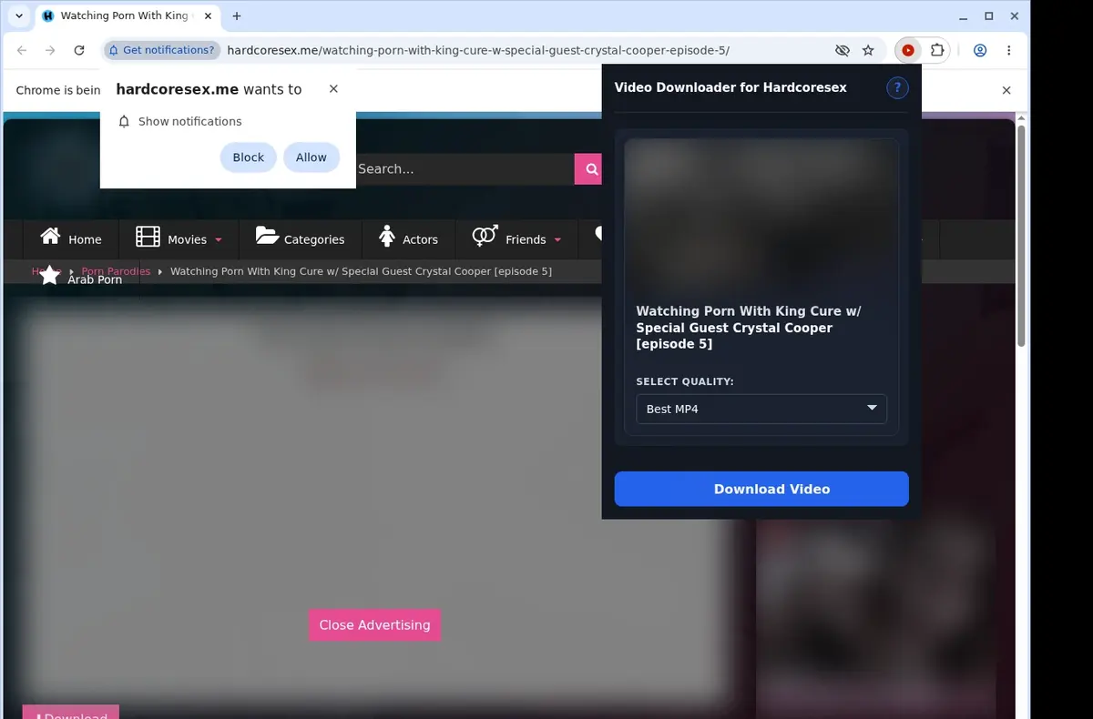 HardcoreSex Downloader showing detected media ready to download