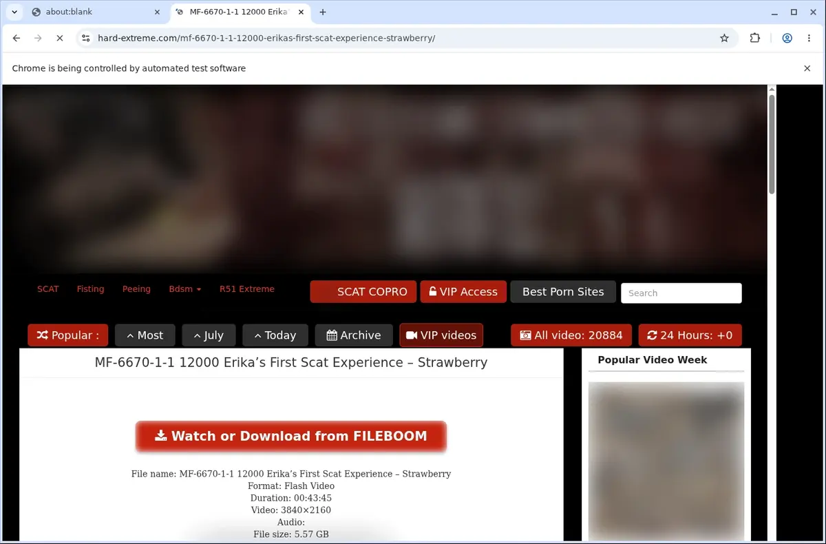 Hard Extreme Video Downloader page open in the browser