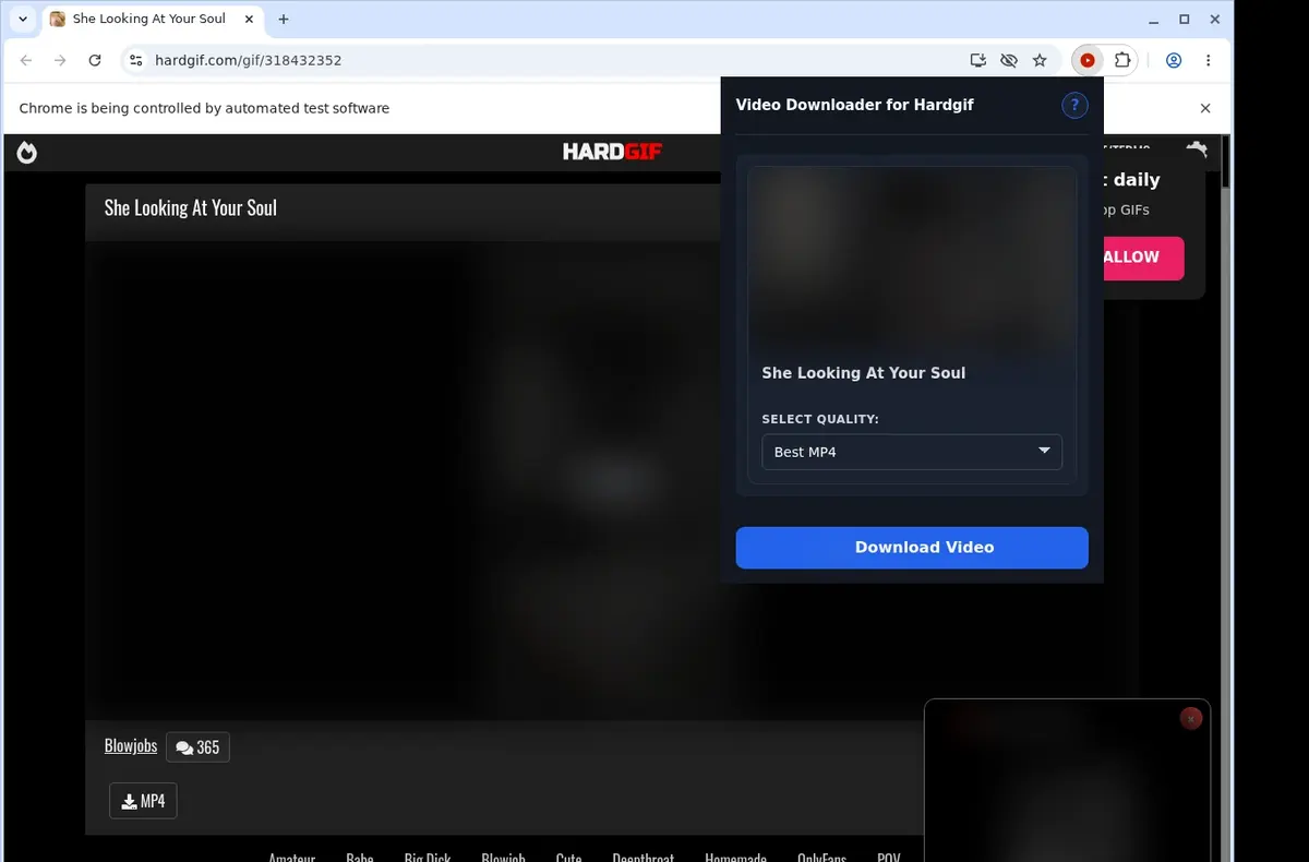 HardGIF Video Downloader showing detected media ready to download