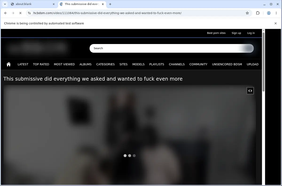 HCBDSM Video Downloader page open in the browser