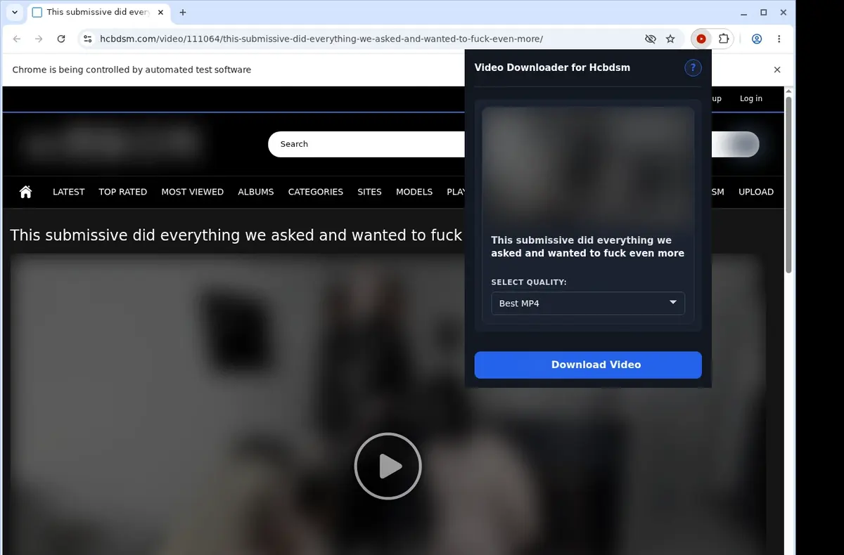 HCBDSM Video Downloader showing detected media ready to download