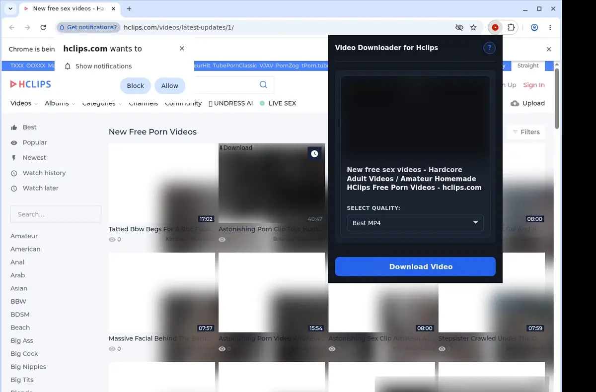 HClips Downloader showing detected media ready to download