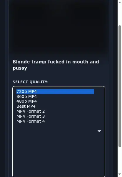 HD-EasyPorn Downloader format dropdown options