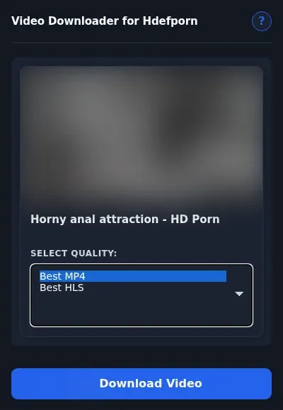 Hdefporn Video Downloader format dropdown options
