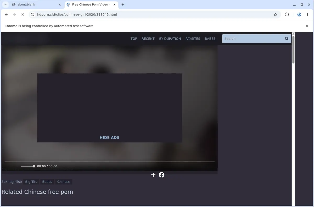 Hdporn Video Downloader page open in the browser