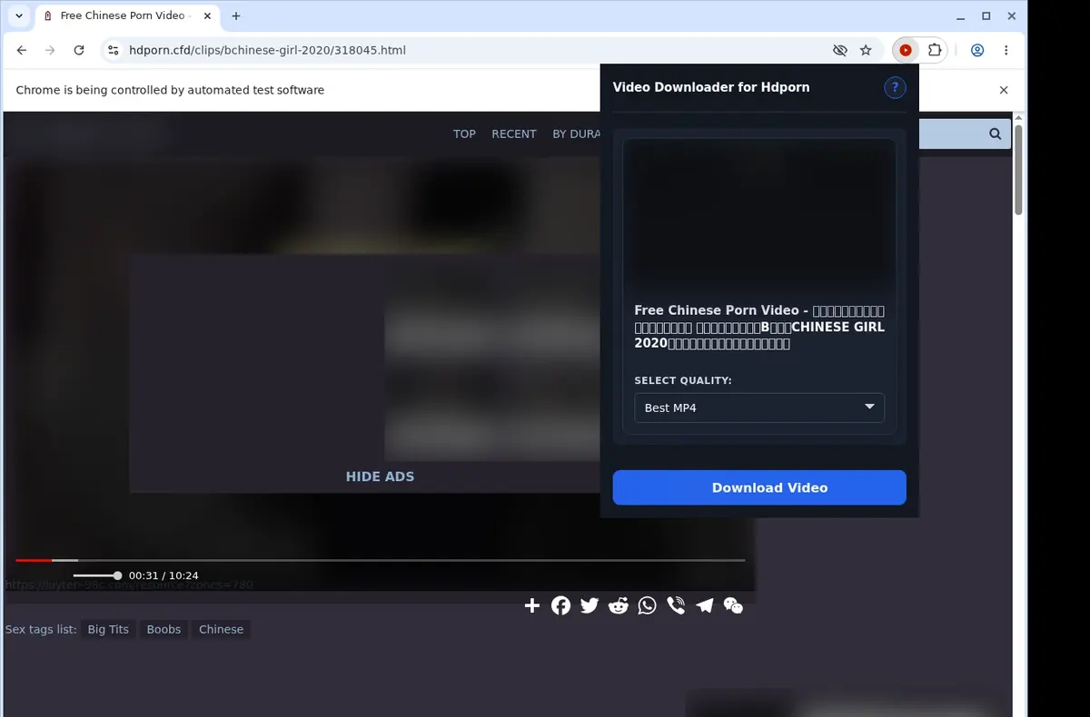 Hdporn Video Downloader showing detected media ready to download