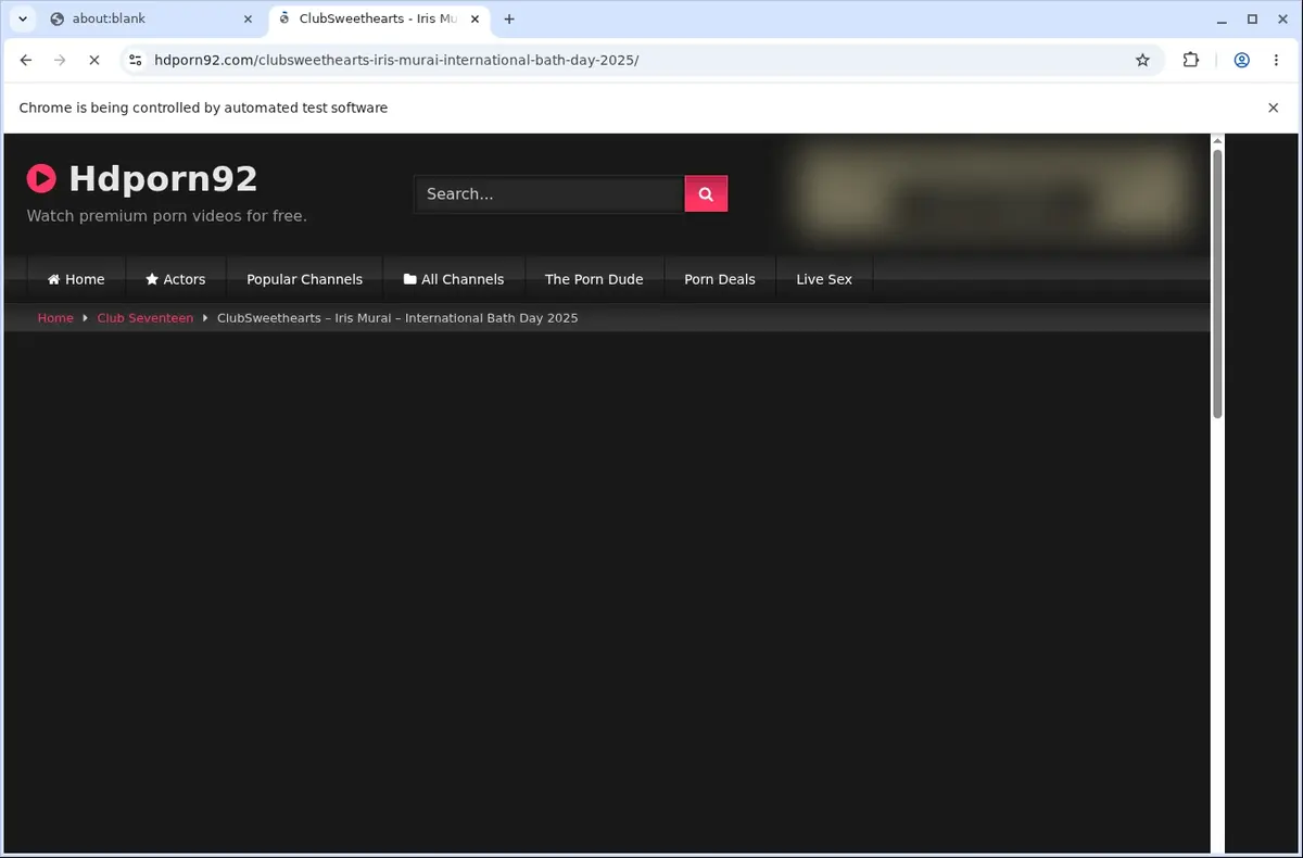 HDPorn92 Downloader page open in the browser
