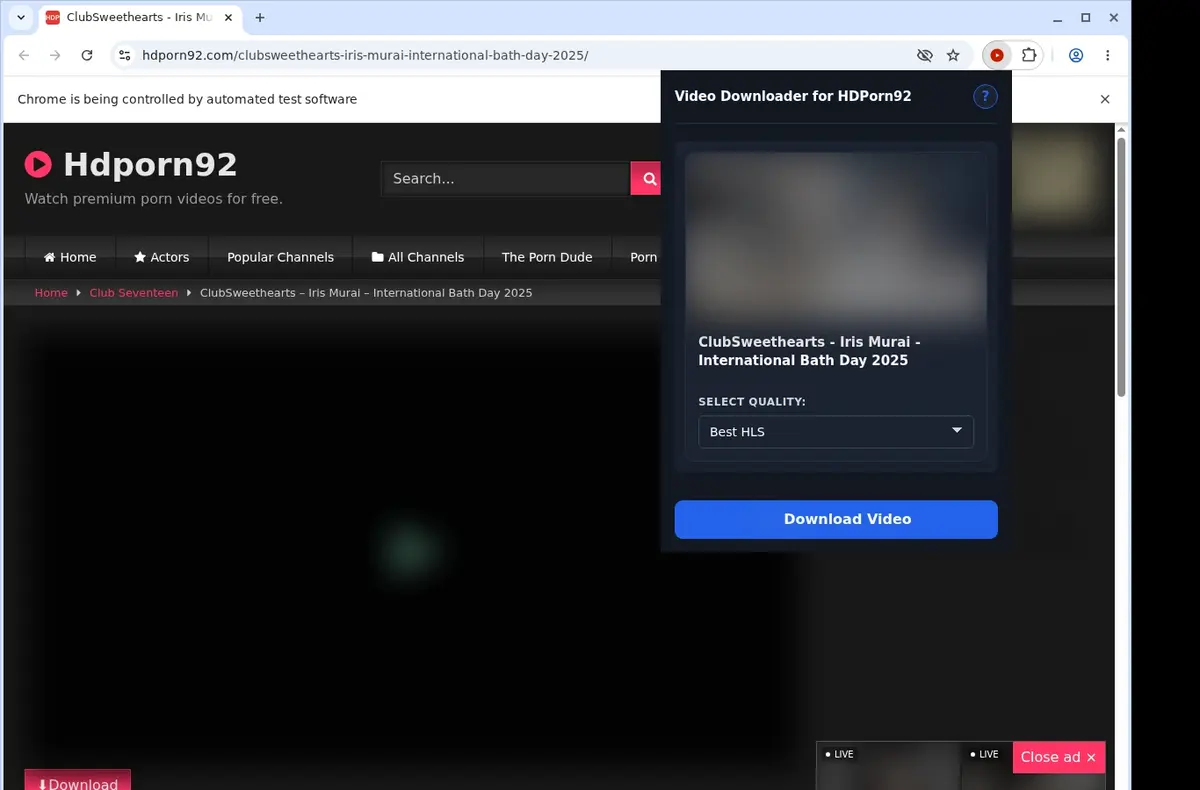 HDPorn92 Downloader showing detected media ready to download