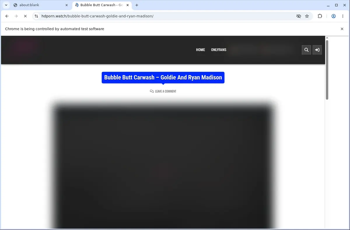 HDPorn.watch Downloader page open in the browser