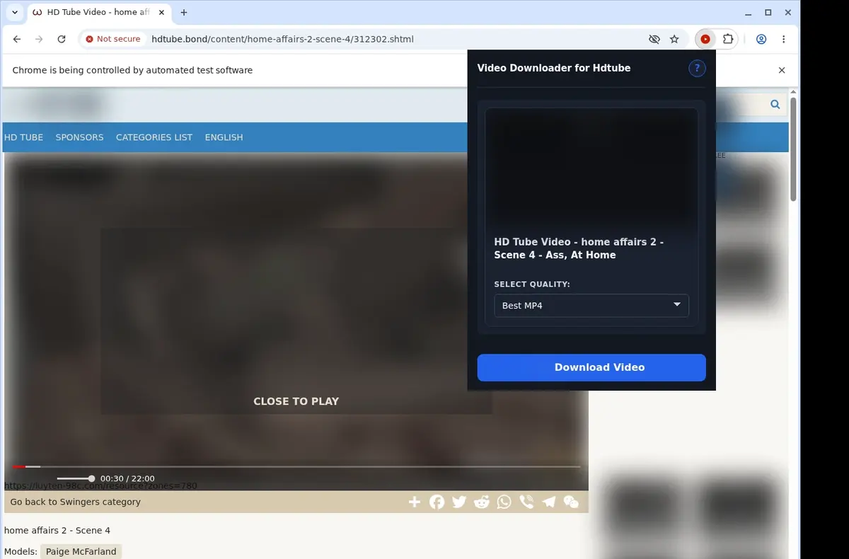HDTube Video Downloader showing detected media ready to download
