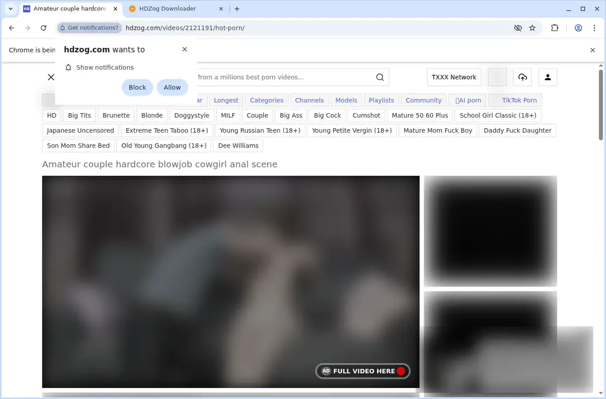 HDZog Video Downloader download progress panel