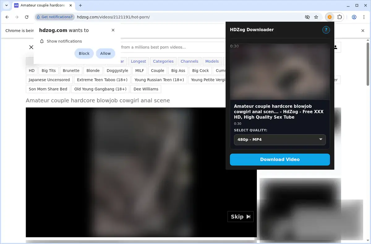HDZog Video Downloader showing detected media ready to download