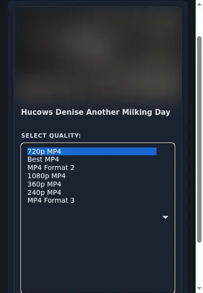 HeavyFetish Video Downloader format dropdown options