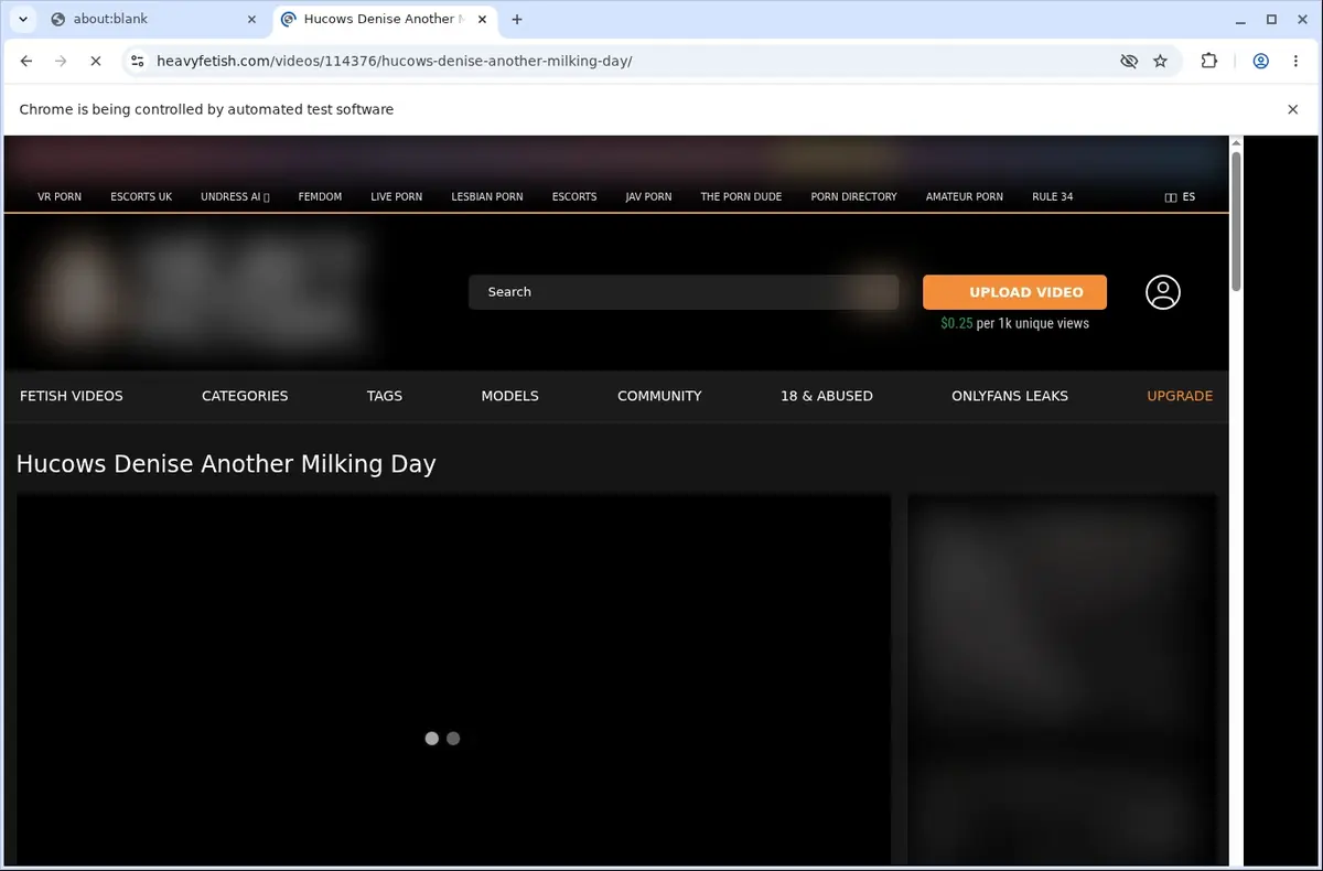HeavyFetish Video Downloader page open in the browser