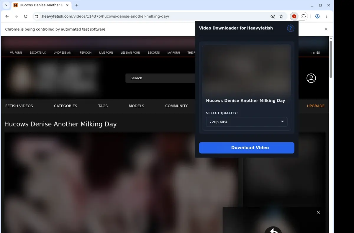 HeavyFetish Video Downloader showing detected media ready to download