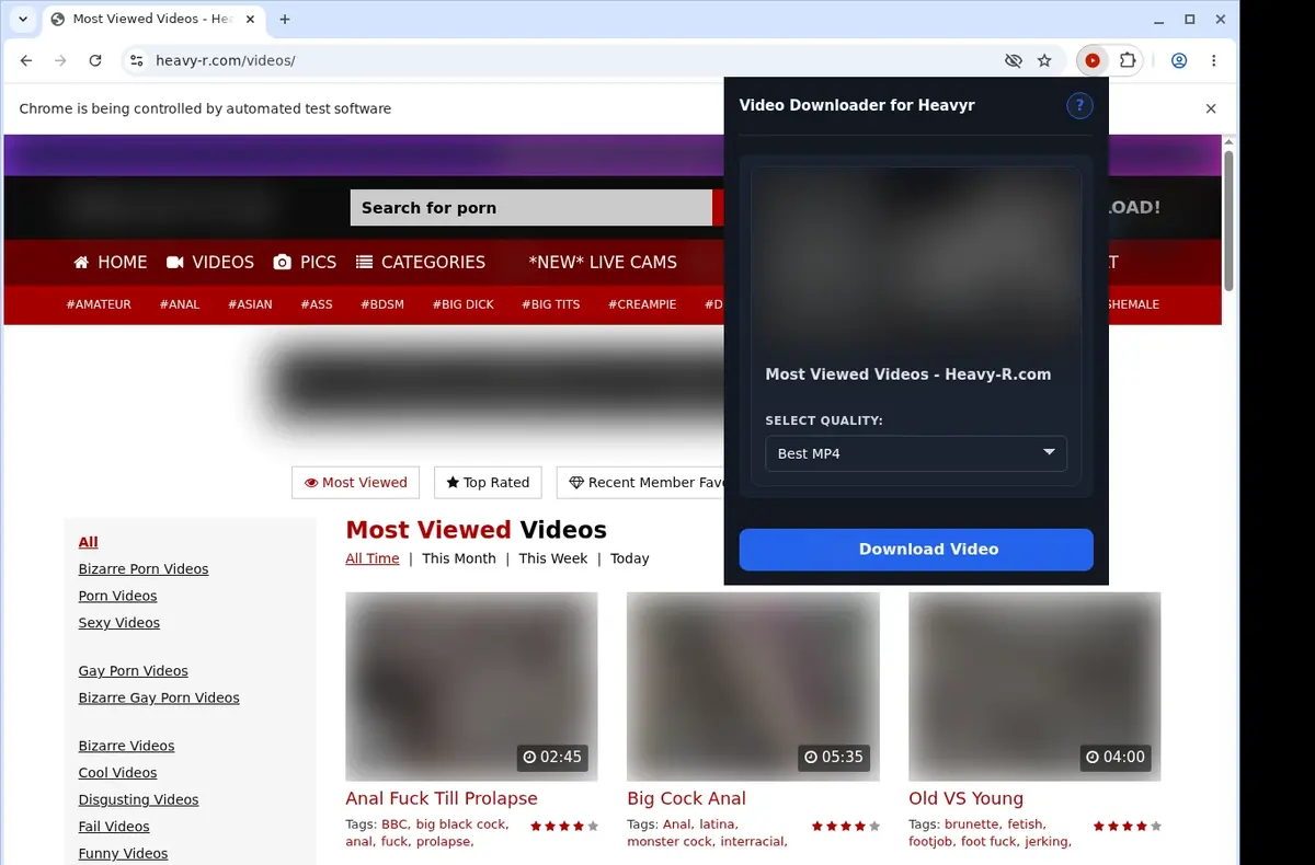 Heavyr Downloader showing detected media ready to download