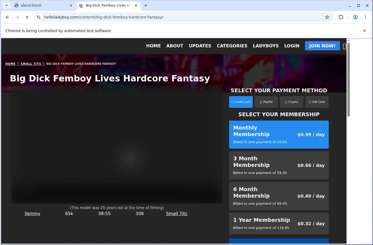 HelloLadyboy Video Downloader page open in the browser
