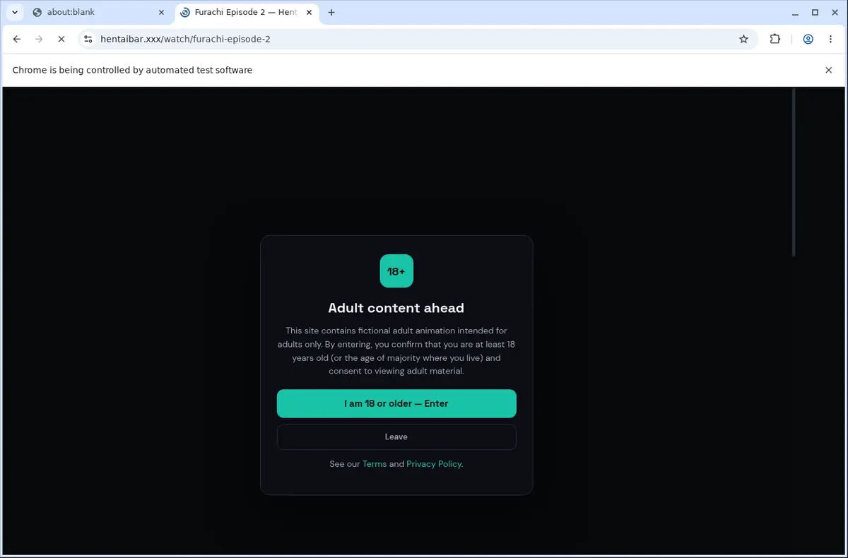Hentaibar Video Downloader page open in the browser