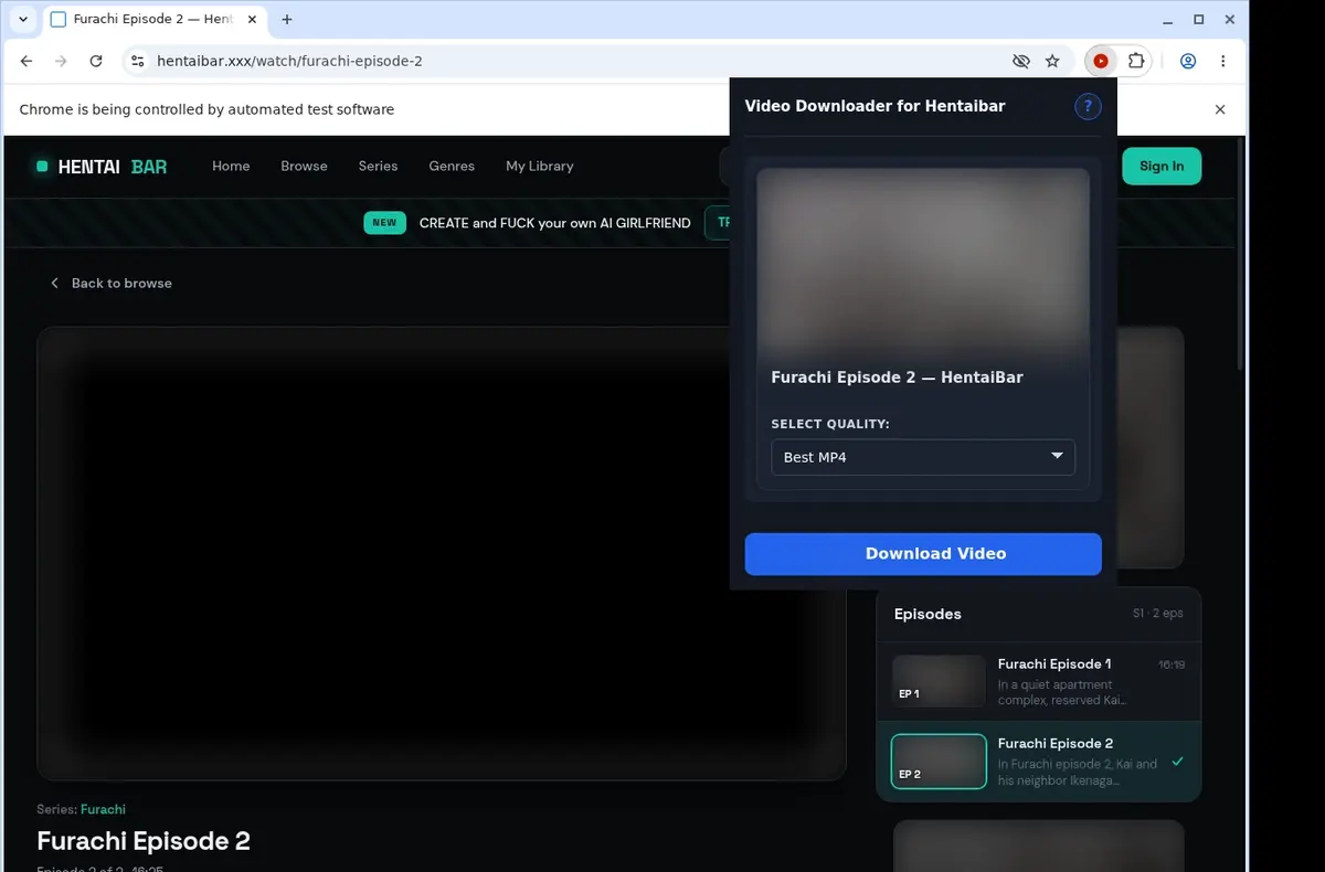 Hentaibar Video Downloader showing detected media ready to download