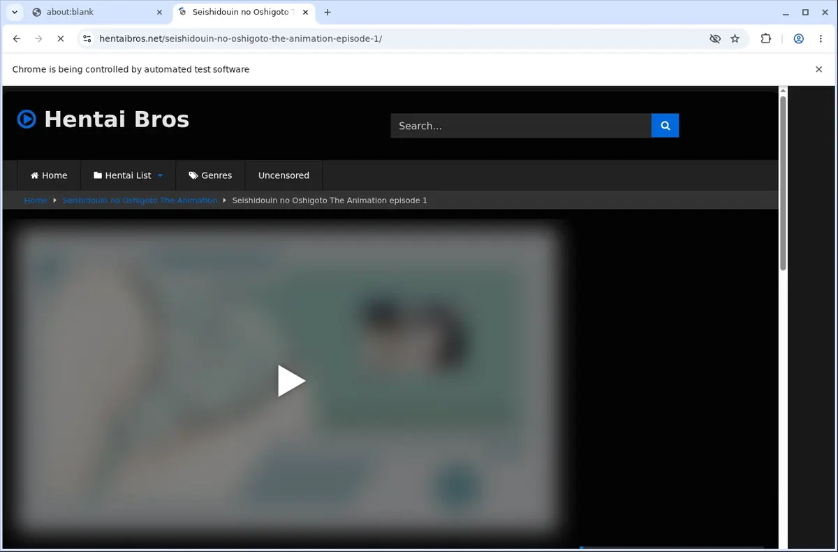 HentaiBros Video Downloader page open in the browser