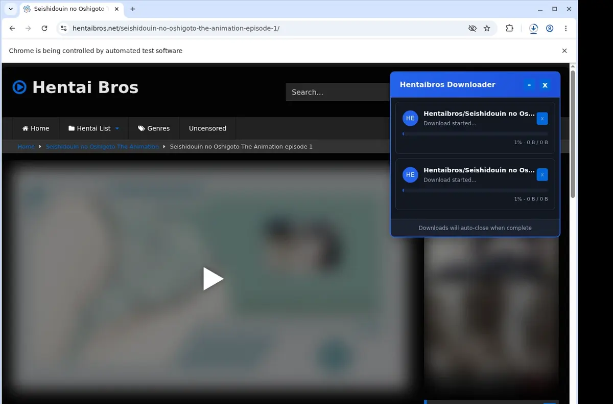 HentaiBros Video Downloader download progress panel