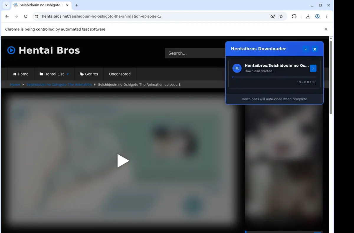 HentaiBros Video Downloader showing detected media ready to download