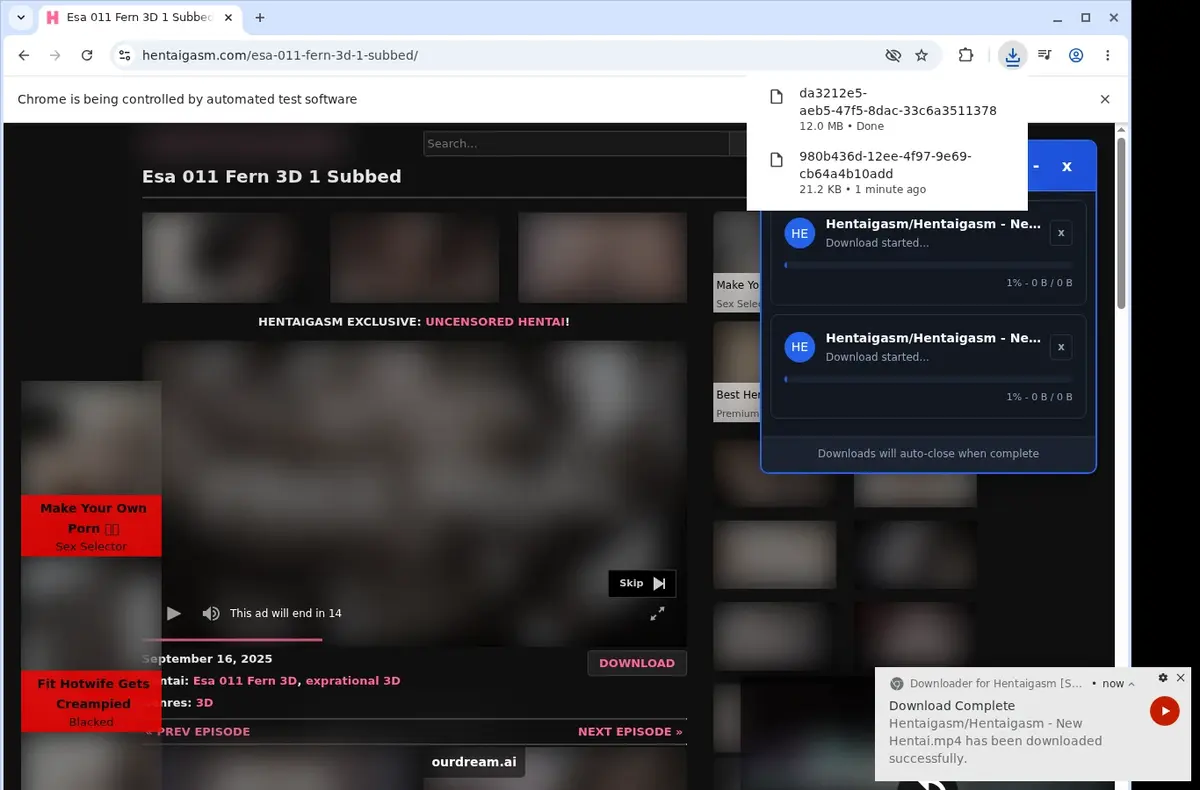 HentaiGasm Video Downloader download progress panel