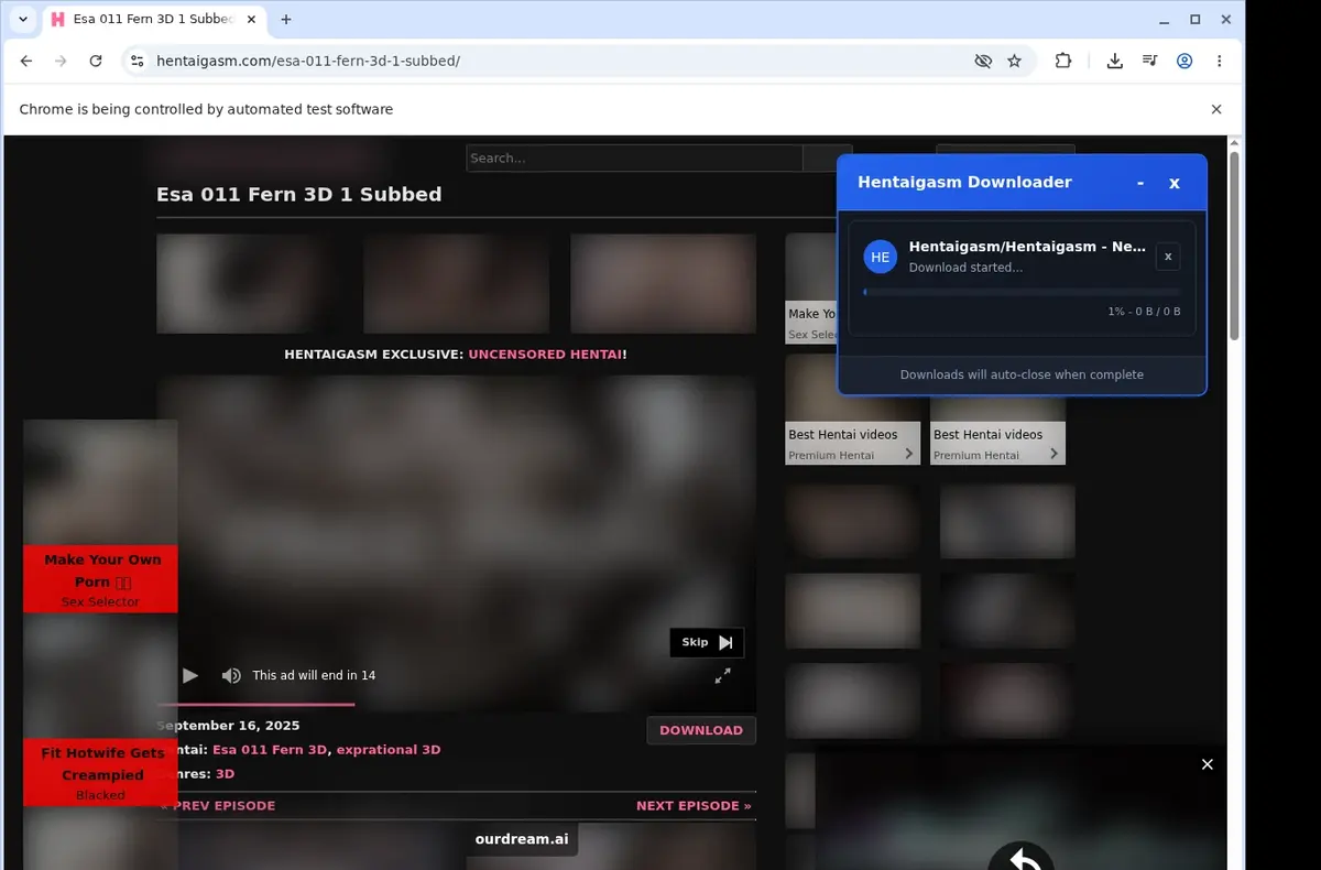 HentaiGasm Video Downloader showing detected media ready to download